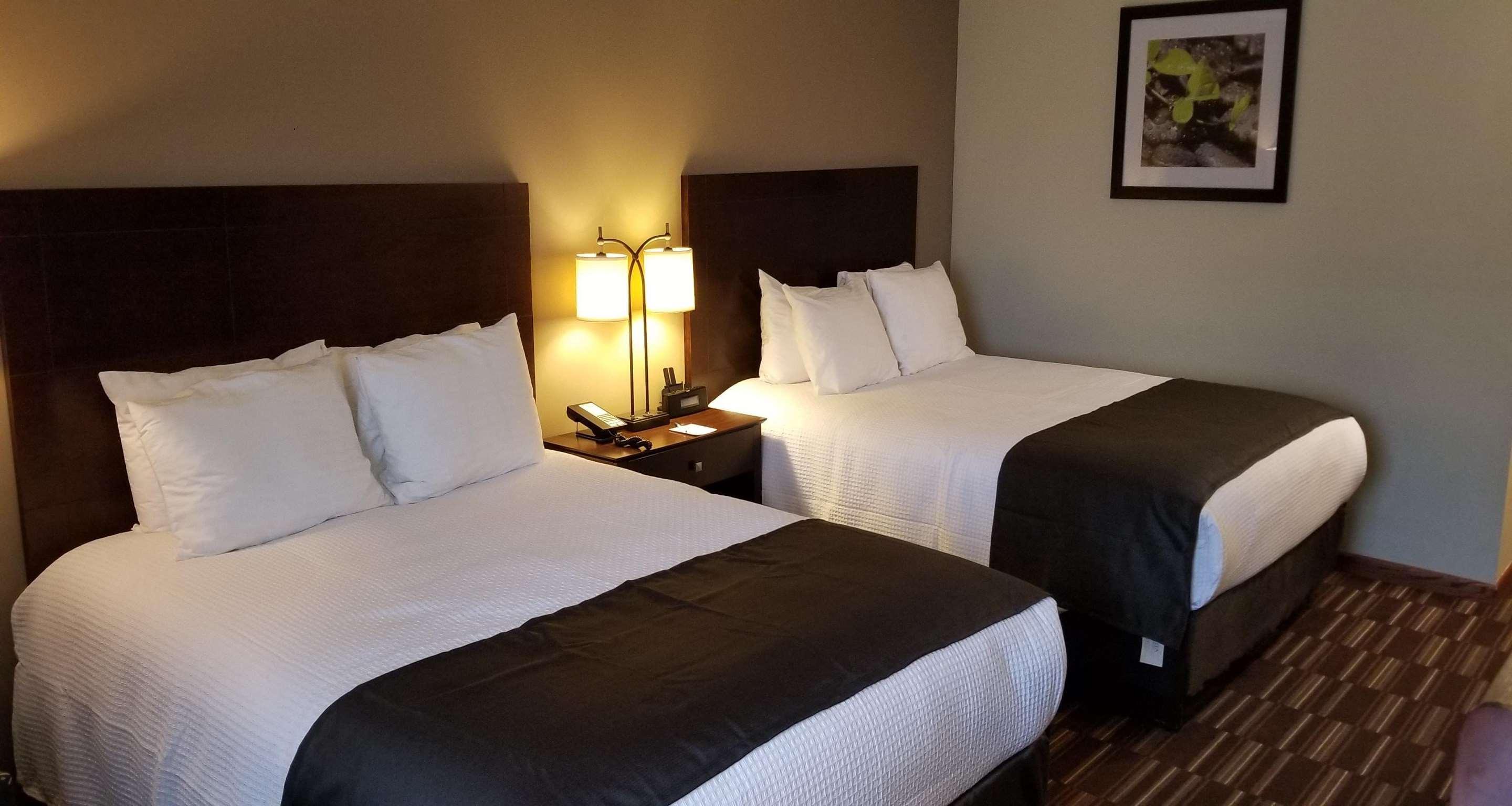 Best Western University Inn Urbana Zewnętrze zdjęcie